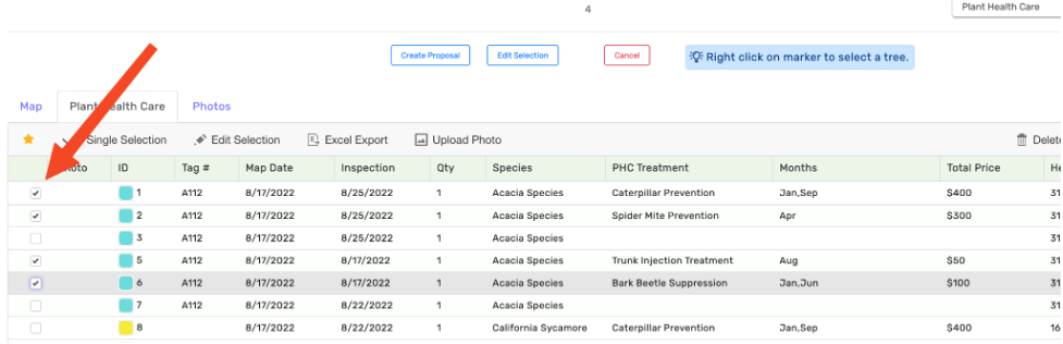 creating-PHC_1 (1).png
